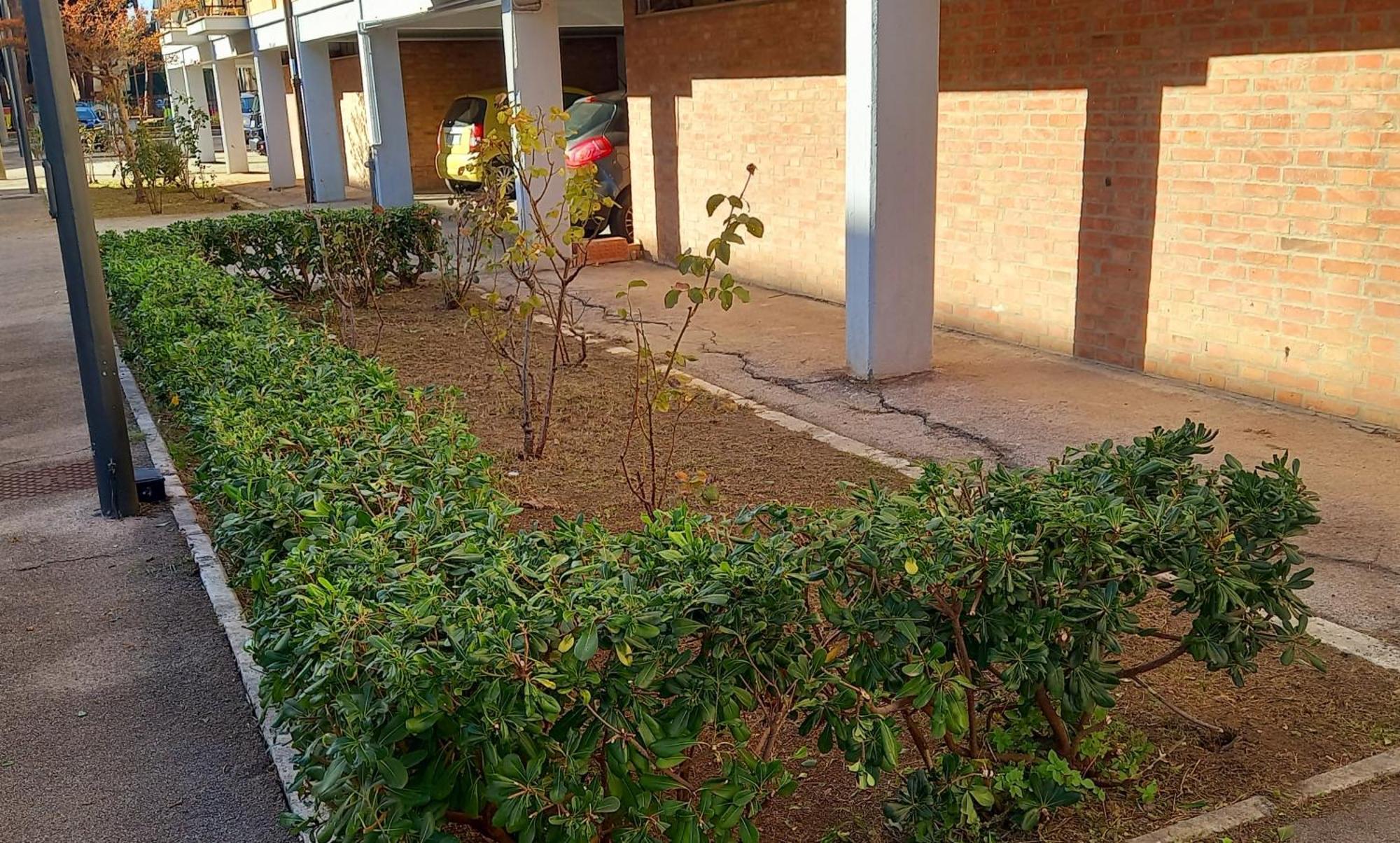 Ferienwohnung La Casa Di Barbanella Grosseto Exterior foto